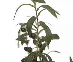 EUROPALMS Dirbtinis alyvmedis, 68 cm, žali lapai, juoda vaza 82506421