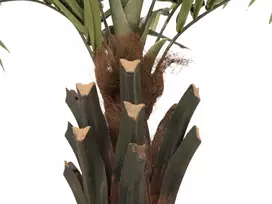EUROPALMS Kentia Palm Deluxe dirbtinis augalas 300cm 82511370