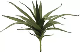 EUROPALMS Aloe (EVA), dirbtinis, žalias, 50cm (82530570)