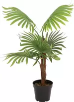 EUROPALMS Fan Palm dirbtinis augalas, 88cm, žalias, juodas vazonas 82509301