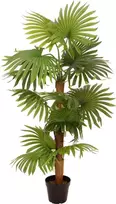 EUROPALMS Fan Palm dirbtinis augalas 130cm 82509302