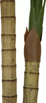 EUROPALMS Areca Palm, 2 kamienų dirbtinis augalas, 120cm (82509410)