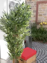EUROPALMS bambukas daugiavietis dirbtinis augalas, 180 cm 82509236