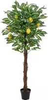 EUROPALMS dirbtinis citrinmedis, 150cm 82507815