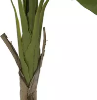 EUROPALMS dirbtinis bananų medis, 145 cm, 82509504