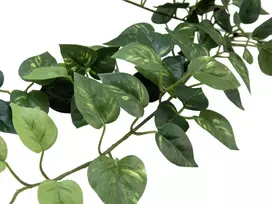 EUROPALMS Pothos Bush Fence Classic, dirbtinis, 70cm (82502201)