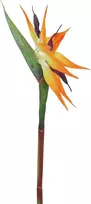 EUROPALMS dirbtinė rojaus paukščio gėlė (Strelitzia reginae), oranžinė, 95 cm 82530559