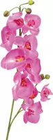 EUROPALMS dirbtinė orchidėjos šakelė, purpurinė, 100 cm 82530322