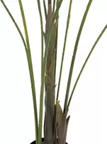 EUROPALMS Großblatt-Areca dirbtinė arekos palmė, 185 cm (82509442)