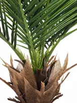EUROPALMS Phoenix Palm Deluxe dirbtinis augalas 220cm 82509722