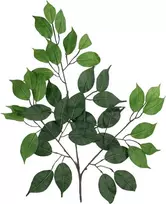 EUROPALMS dirbtinė Ficus Benjamina šakelė, 12 vnt. rinkinys 82506101