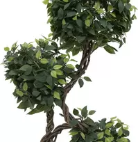 EUROPALMS Ficus daugiavaris spiralinis dirbtinis augalas, 160cm 82501563