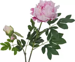 EUROPALMS Premium Peony Branch dirbtinis augalas, rožinis, 100cm 82530220
