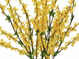 EUROPALMS dirbtinis forsitijos krūmas, 60cm 82505629