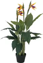 EUROPALMS Strelitzia dirbtinis augalas, 90 cm 82540502