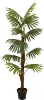 EUROPALMS Fan Palm Dirbtinis Augalas, 155cm 82509303