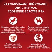 Purina Nestle PURINA One Adult Medium/Maxi Monoprotein Rich in turkey - dry dog food - 2,5kg
