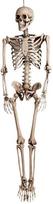 XXL Dekoracija "Skeletas" (160cm)