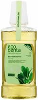 Ecodenta, Burnos skalavimo skystis, Mėta, Dantenų apsauga, 250 ml Unisex