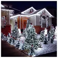 Eu Sandelis Vidaus/išorės šaltai balta elektrinė lempučių girlianda 100 LED LAMP01B