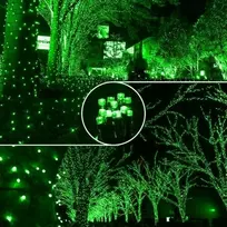 Eu Sandelis Vidaus/išorės žalia elektrinė lempučių girlianda 100 LED LAMP01ZIE
