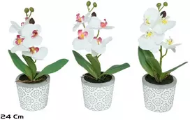 Dirbtinės orchidėjos vazone x4 – 24 cm, 10x14x24 cm, LITO