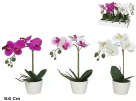 Dirbtinė orchidėja vazone 34 cm, 10x20x34 cm, LITO