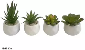 Dirbtiniai sukulentai 8–13 cm, 8x8x13 cm, LITO