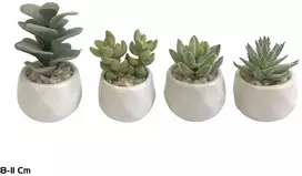 Dirbtiniai sukulentai 8–11 cm, 7x7x11 cm, LITO