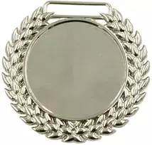 Sidabro spalvos metalinis apdovanojimų medalis, 6 cm