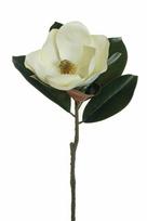 Dirbtinė gėlė, magnolija, balta sp., 71 cm