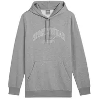 PUMA Essentials+ Logo LAB Gradient gobtuvas - Medium Grey Heather - vyriškas M dydis
