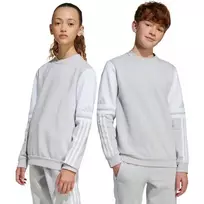 adidas Squadra 25 Crew megztinis vaikams - pilkas (JD4824) 164cm