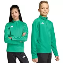 adidas Entrada 26 treniruočių megztinis vaikams, žalias JZ6632 116cm