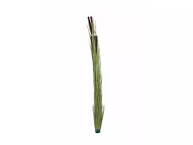 EUROPALMS dirbtinė nendrių žolė su varpomis, šviesiai žalia, 152cm 82505855