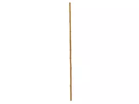 EUROPALMS bambuko stulpas, Ø 3 cm, ilgis 200 cm 83313200