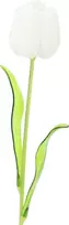 EUROPALMS Crystal Tulip dirbtinė gėlė, balta, 61cm, 12 vnt. (82600204)
