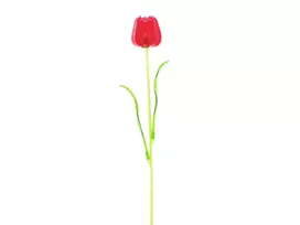 EUROPALMS Kristalltulpe dirbtinė tulpė, raudona, 61cm, 12 vnt. paketas 82600205