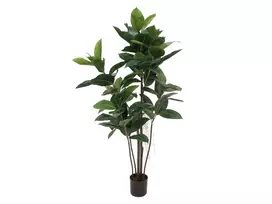 EUROPALMS dirbtinis kaučiukmedis (Ficus elastica), 120cm 82600150