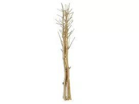 EUROPALMS džiovintų pankolių puokštė, auksinė, 160cm 83502363
