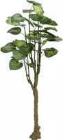 EUROPALMS Pothos Tree dirbtinis augalas 175 cm 82600163