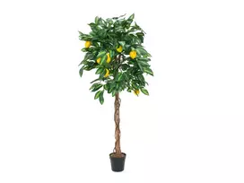 EUROPALMS Dirbtinis citrinmedis, 180cm 82507816