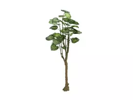 EUROPALMS Pothos dirbtinis medis, 150 cm, žali lapai, juoda vaza 82600162