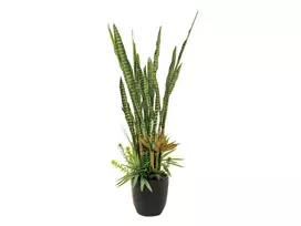 EUROPALMS Succulent Mix dirbtinis augalas, 190cm 82600035