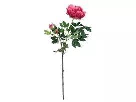 EUROPALMS Premium bijūno šakelė dirbtinė gėlė, magenta, 100 cm 82530221