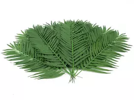 EUROPALMS Coconut Palm Frond, dirbtinė, 110cm, 12 vnt. rinkinys 82509897
