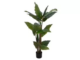 EUROPALMS Alocasia dirbtinis augalas, 140cm, žalias, juodas vazonas 82508464