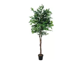 EUROPALMS Ficus Benjamina daugiavainikis dirbtinis augalas, 210cm 82506127