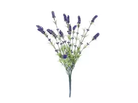 EUROPALMS Lavandinų krūmas, dirbtinis, 61cm 82600231