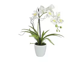 EUROPALMS Dirbtinė orchidėjų kompozicija 1, vazoninė, balta-rožinė, 60 cm 82530346